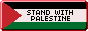 button of a palestinian flag, reading stand with palestine