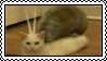 a stamp of an image of two cats on top of each other, edited to look like a snail